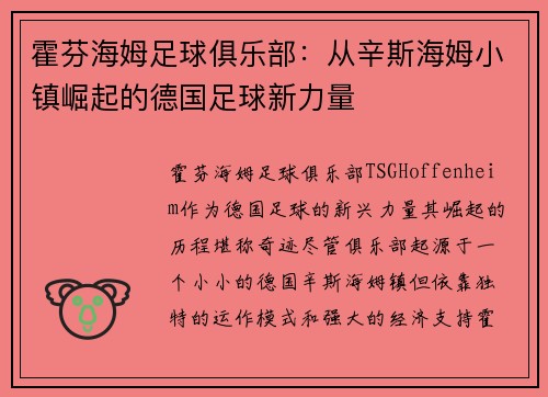 霍芬海姆足球俱乐部：从辛斯海姆小镇崛起的德国足球新力量