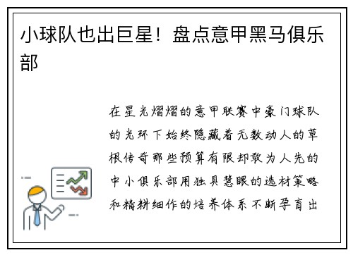 小球队也出巨星！盘点意甲黑马俱乐部