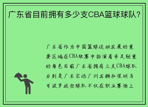 广东省目前拥有多少支CBA篮球球队？